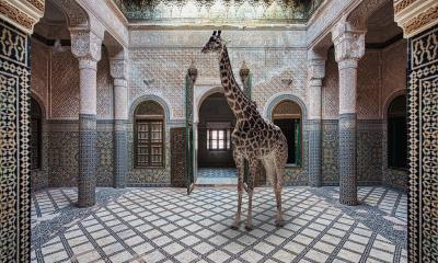 Abandoned Moroccan palace